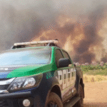 Dois proprietários rurais são autuados por queimadas em Paranaíba e Sonora